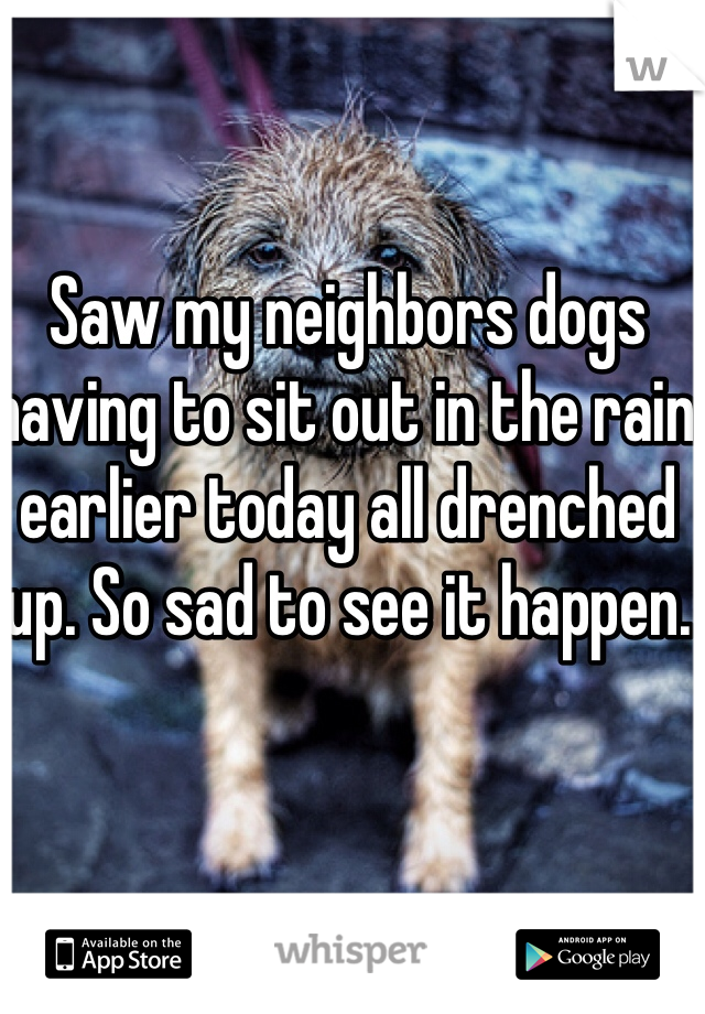 Saw my neighbors dogs having to sit out in the rain earlier today all drenched up. So sad to see it happen. 
