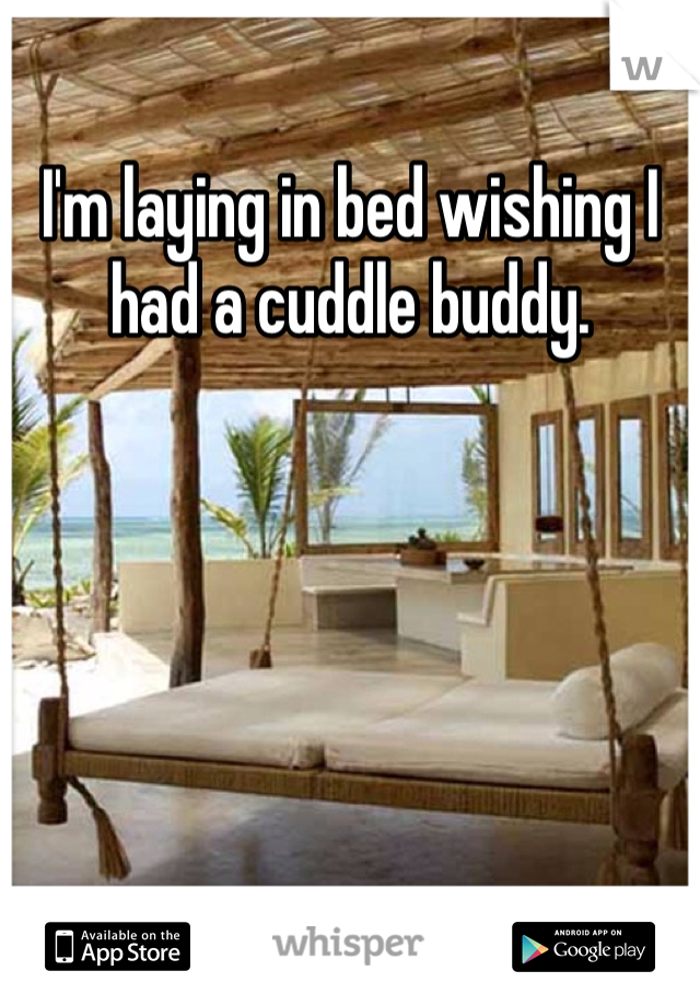 I'm laying in bed wishing I had a cuddle buddy. 