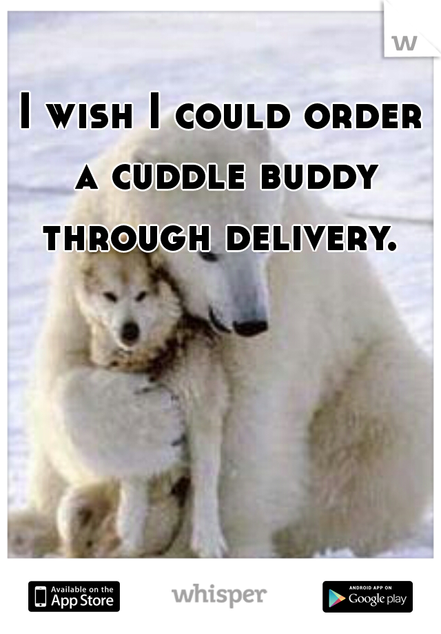 I wish I could order a cuddle buddy through delivery. 