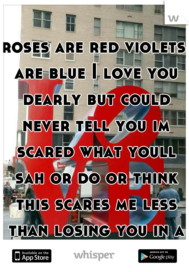 roses are red violets are blue I love you dearly but could never tell you im scared what youll sah or do or think this scares me less than losing you in a blink  
