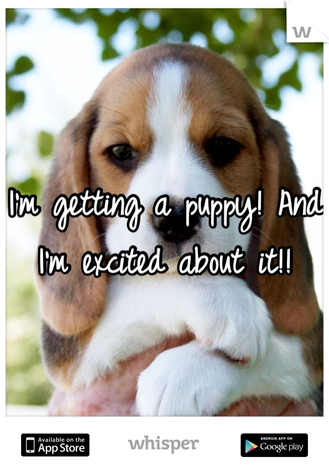 I'm getting a puppy! And I'm excited about it!!