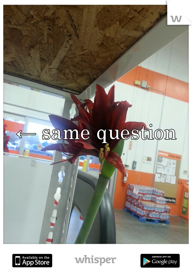 ← same question
