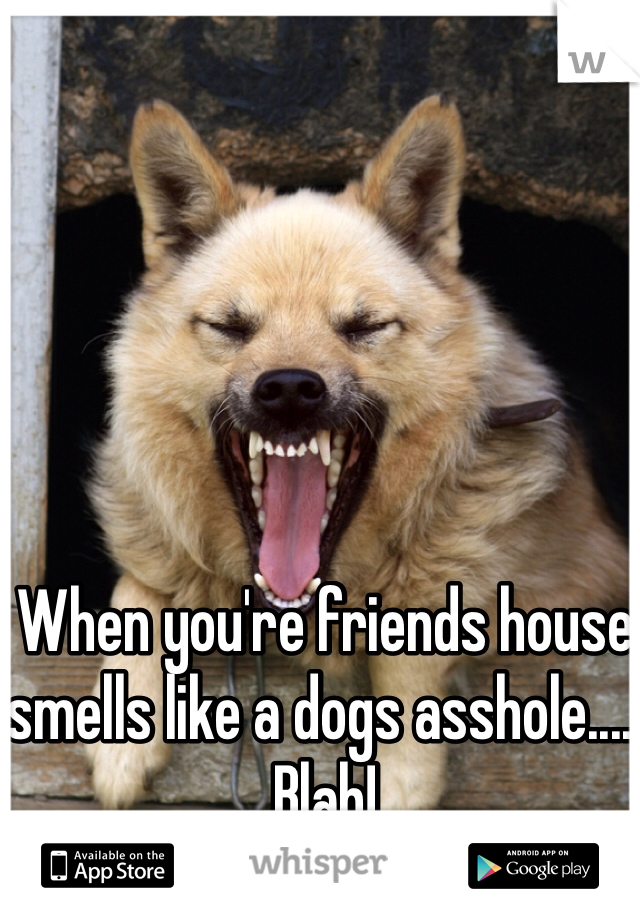 When you're friends house smells like a dogs asshole..... Blah!