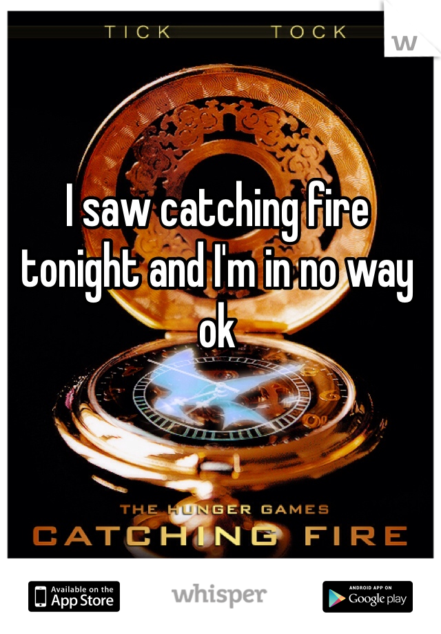 I saw catching fire tonight and I'm in no way ok 