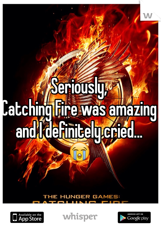 Seriously,
Catching Fire was amazing and I definitely cried...
😭
