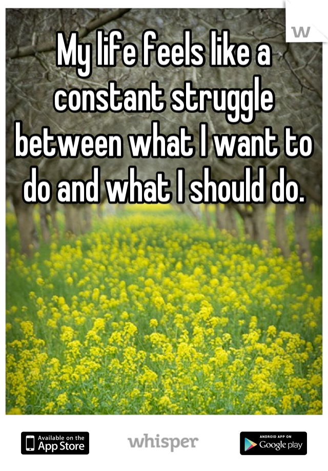 My life feels like a constant struggle between what I want to do and what I should do.