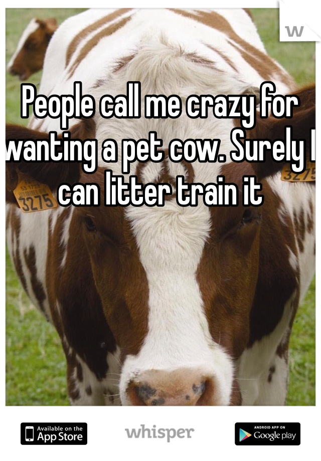 People call me crazy for wanting a pet cow. Surely I can litter train it