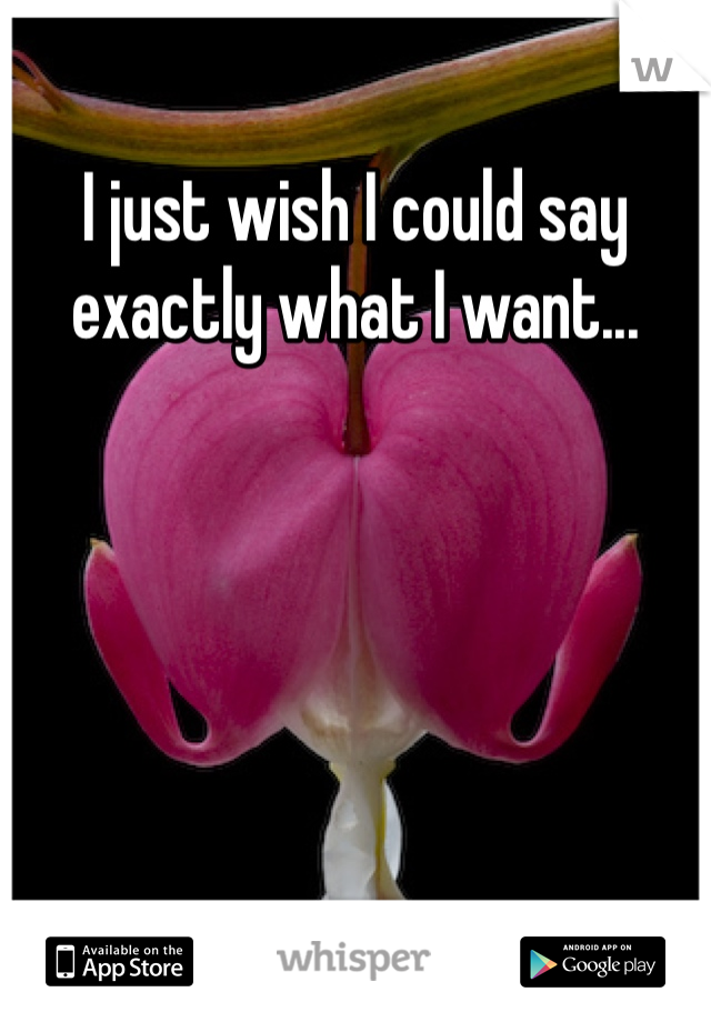 I just wish I could say exactly what I want...