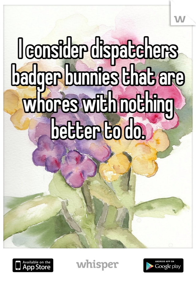 I consider dispatchers badger bunnies that are whores with nothing better to do. 
