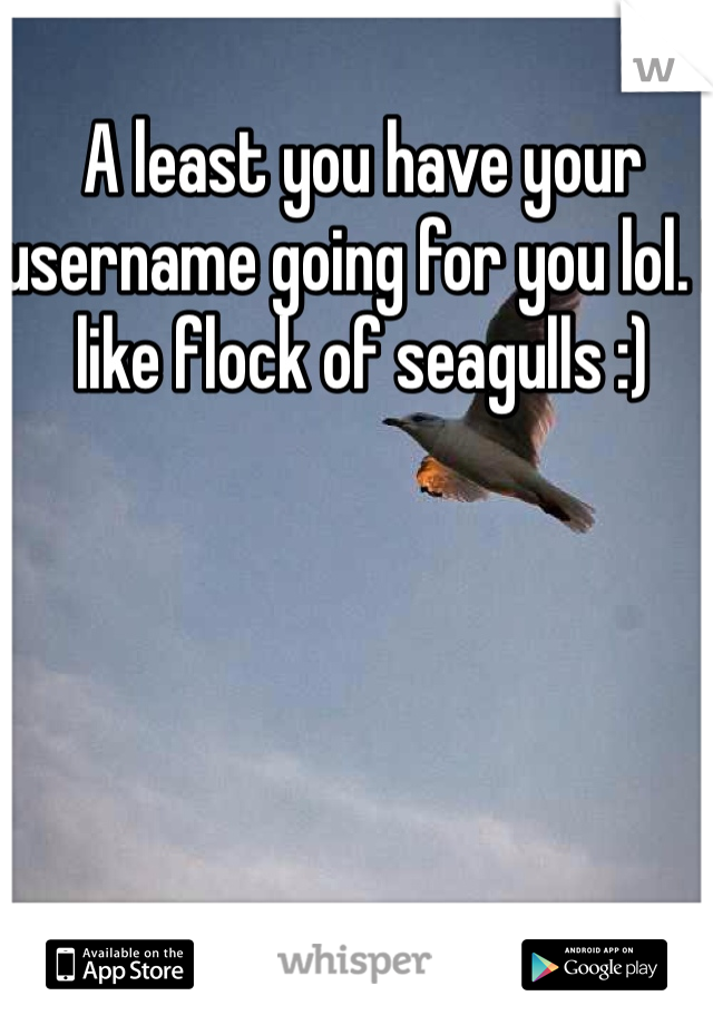 A least you have your username going for you lol. I like flock of seagulls :)