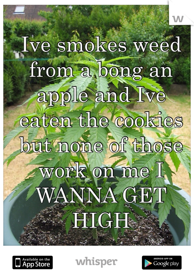 Ive smokes weed from a bong an apple and Ive eaten the cookies but none of those work on me I WANNA GET HIGH