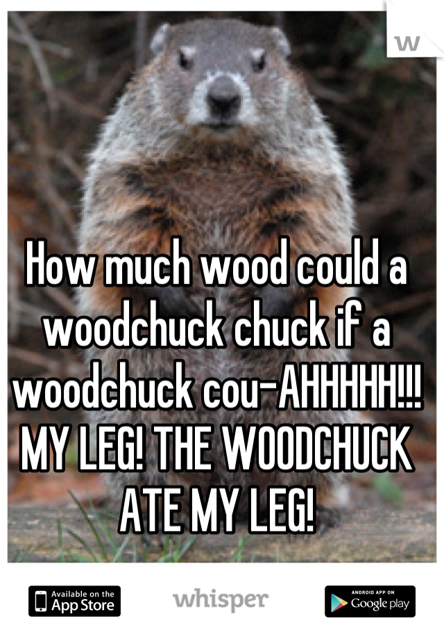 How much wood could a woodchuck chuck if a woodchuck cou-AHHHHH!!! MY LEG! THE WOODCHUCK ATE MY LEG!