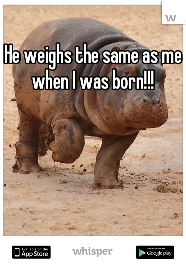 He weighs the same as me when I was born!!!