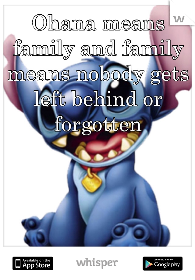 Ohana means family and family means nobody gets left behind or forgotten 