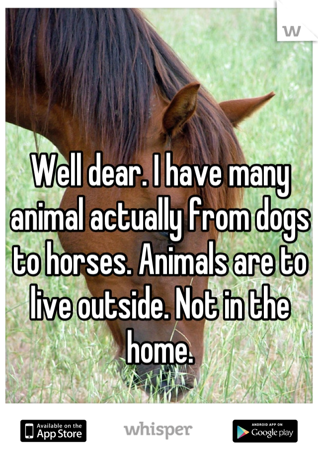 Well dear. I have many animal actually from dogs to horses. Animals are to live outside. Not in the home.