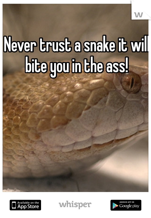 Never trust a snake it will bite you in the ass!
