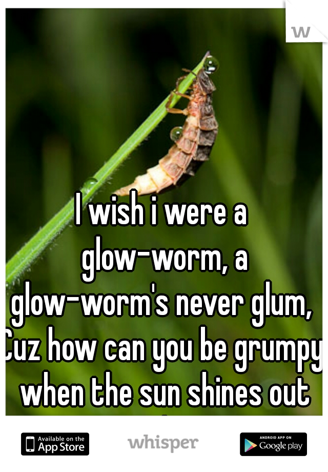 I wish i were a glow-worm, a glow-worm's never glum, 
Cuz how can you be grumpy when the sun shines out your bum.  