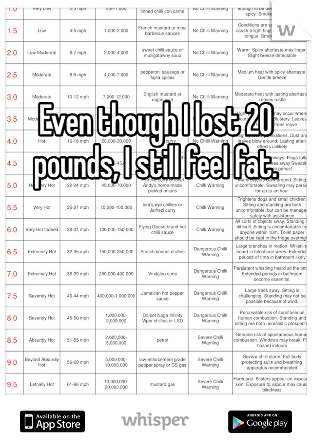 Even though I lost 20 pounds, I still feel fat. 