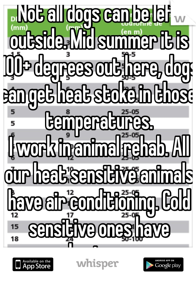 Not all dogs can be left outside. Mid summer it is 100+ degrees out here, dogs can get heat stoke in those temperatures. 
I work in animal rehab. All our heat sensitive animals have air conditioning. Cold sensitive ones have heaters. 