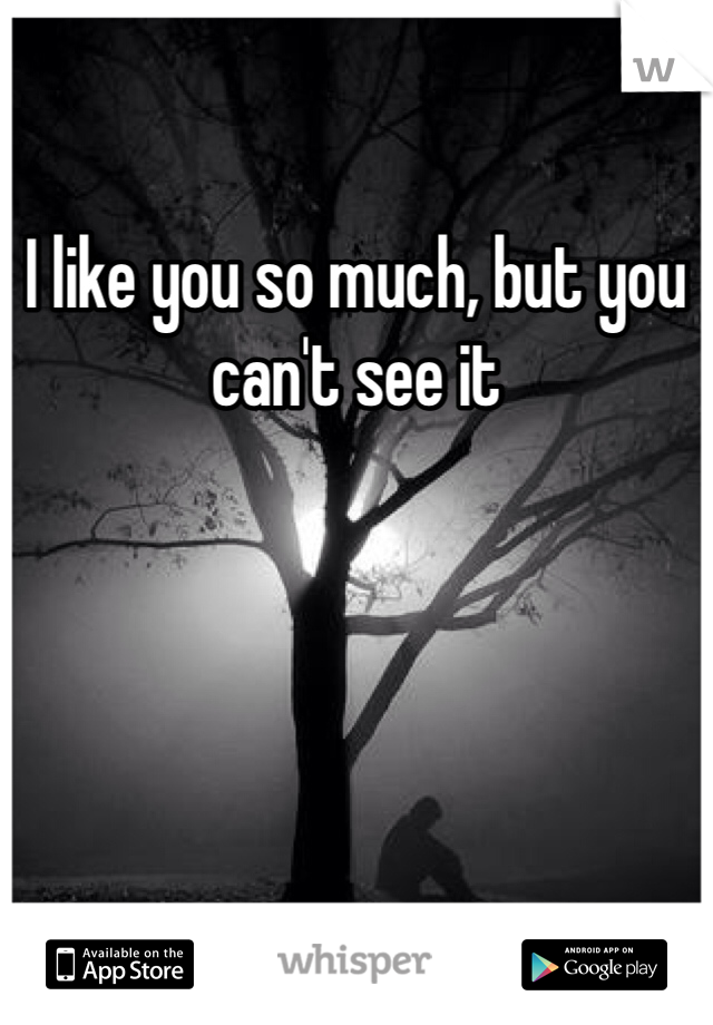 I like you so much, but you can't see it