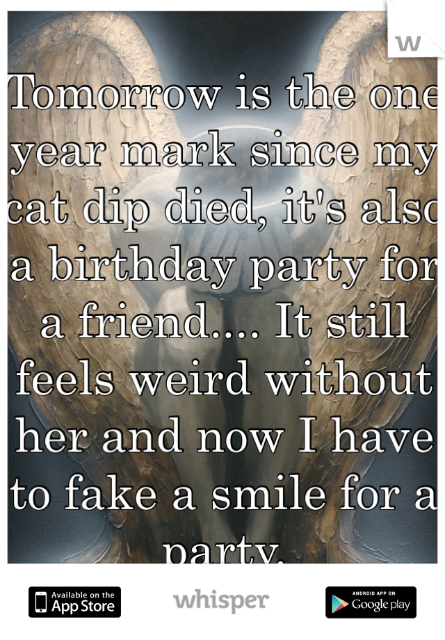 Tomorrow is the one year mark since my cat dip died, it's also a birthday party for a friend.... It still feels weird without her and now I have to fake a smile for a party.