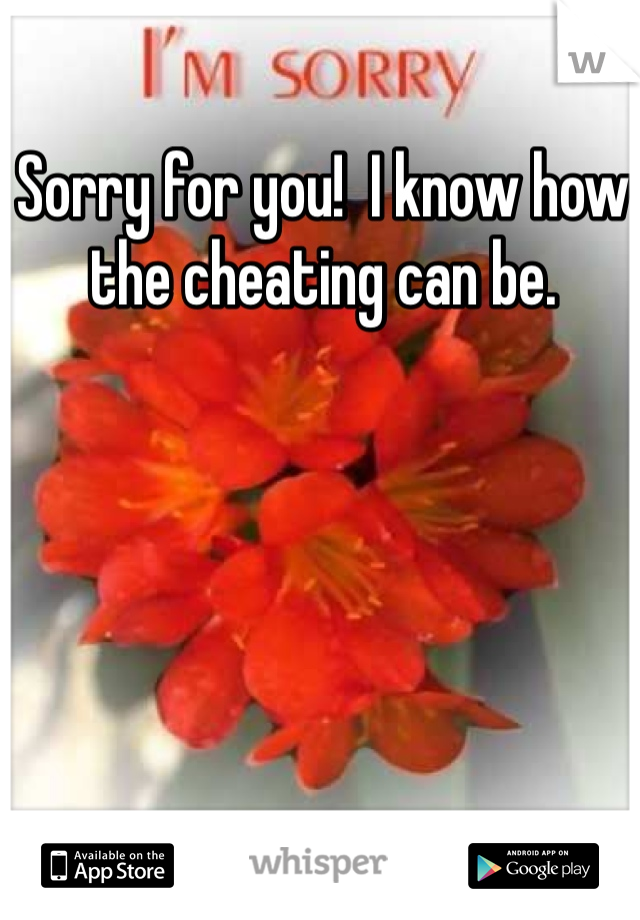 Sorry for you!  I know how the cheating can be.