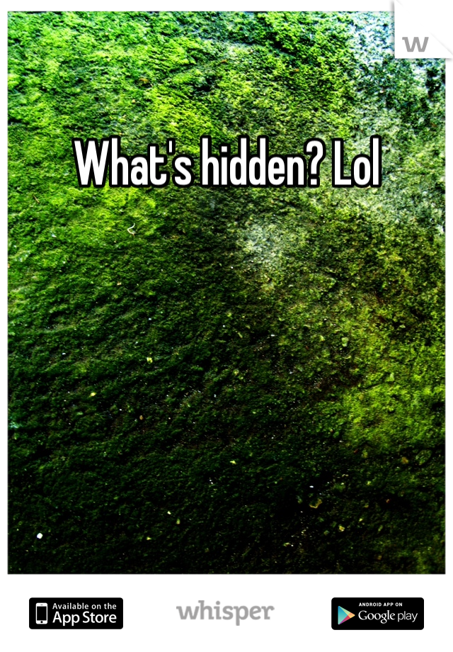 What's hidden? Lol