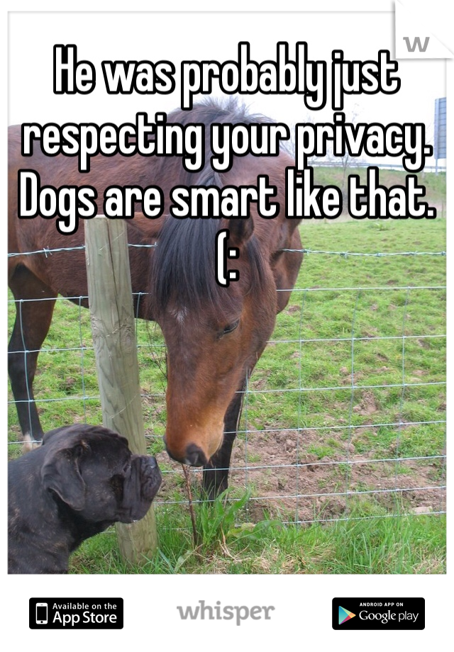 He was probably just respecting your privacy. Dogs are smart like that. (: