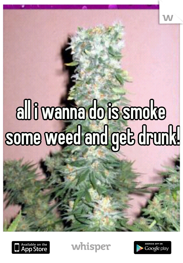all i wanna do is smoke some weed and get drunk!