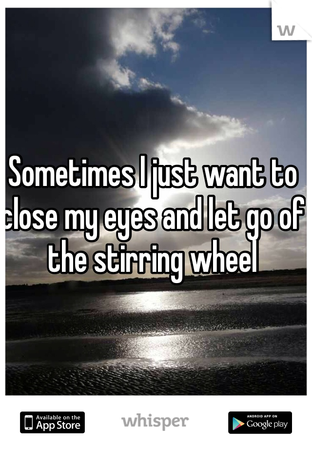 Sometimes I just want to close my eyes and let go of the stirring wheel 