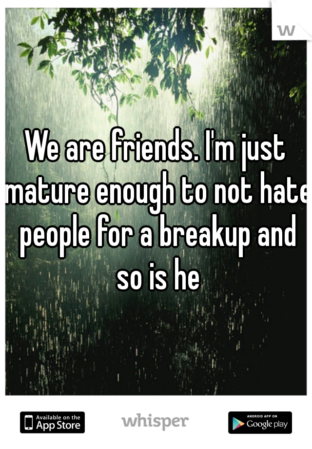 We are friends. I'm just mature enough to not hate people for a breakup and so is he