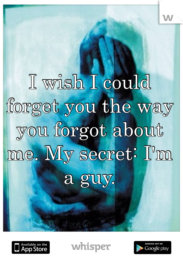I wish I could forget you the way you forgot about me. My secret: I'm a guy. 