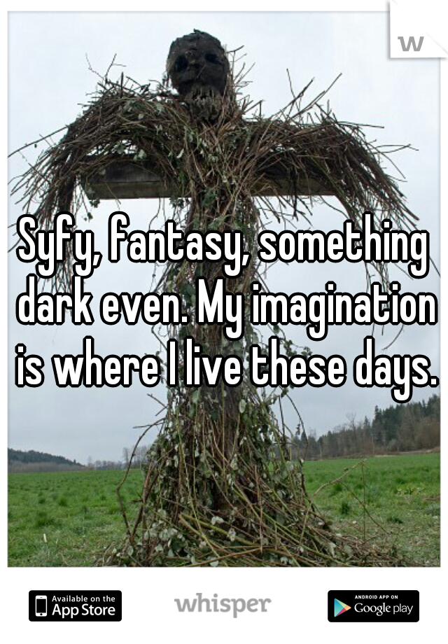 Syfy, fantasy, something dark even. My imagination is where I live these days.