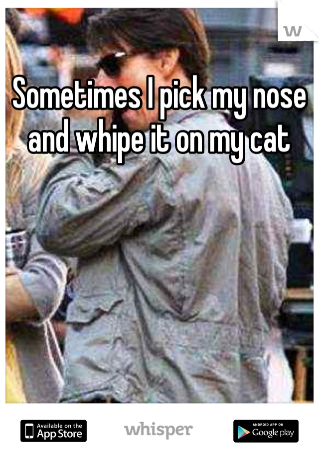 Sometimes I pick my nose and whipe it on my cat