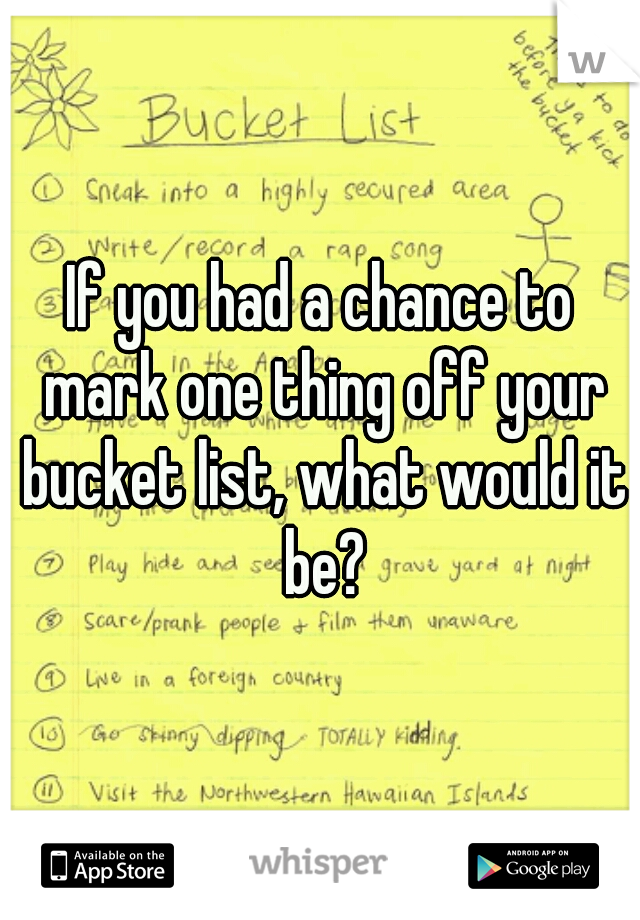 If you had a chance to mark one thing off your bucket list, what would it be?