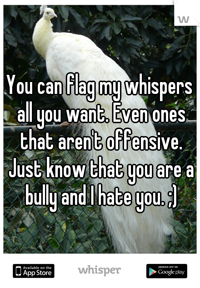 You can flag my whispers all you want. Even ones that aren't offensive. Just know that you are a bully and I hate you. ;)