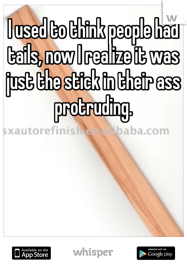 I used to think people had tails, now I realize it was just the stick in their ass protruding. 
