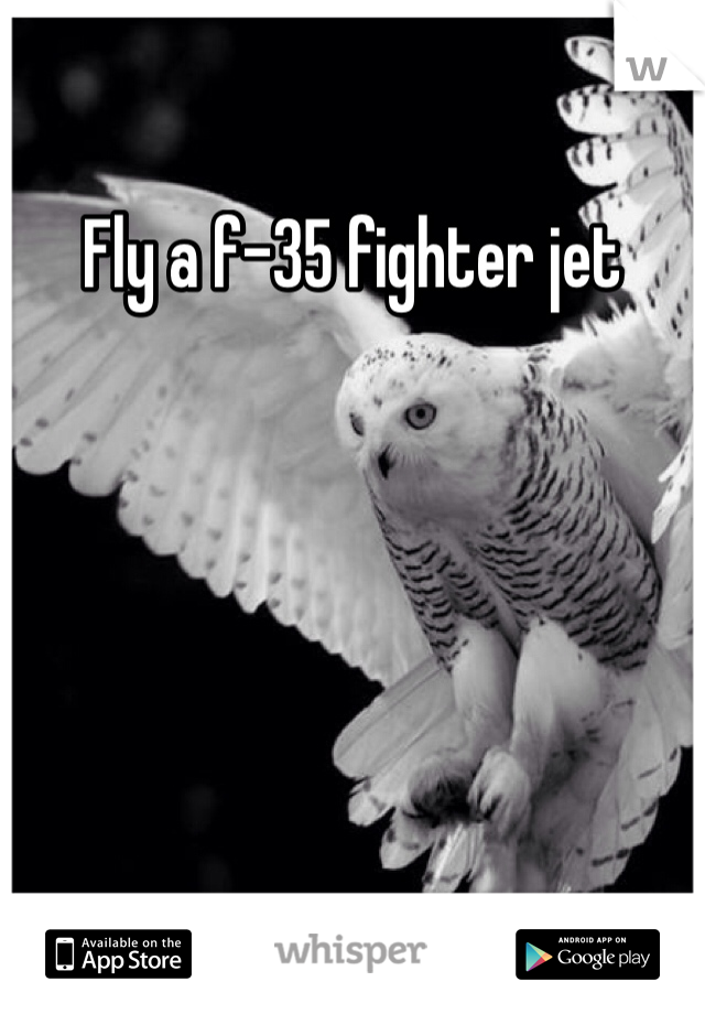 Fly a f-35 fighter jet 