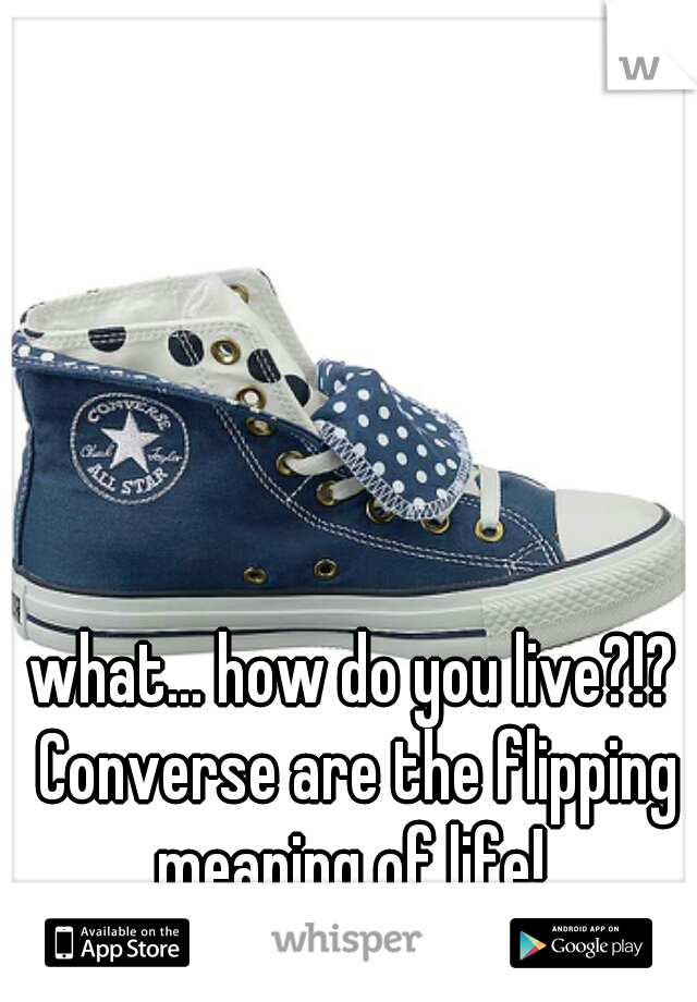 what... how do you live?!? Converse are the flipping meaning of life! 