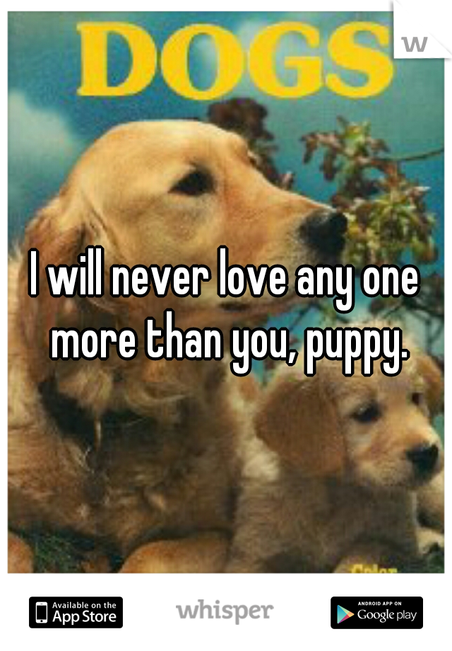 I will never love any one more than you, puppy.