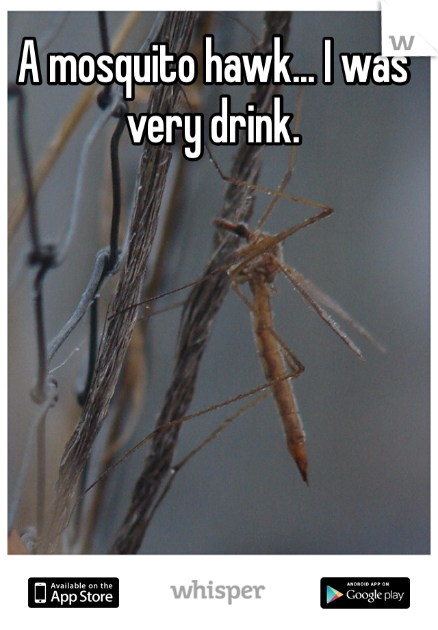A mosquito hawk... I was very drink.