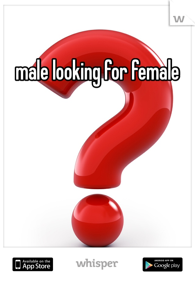 male looking for female