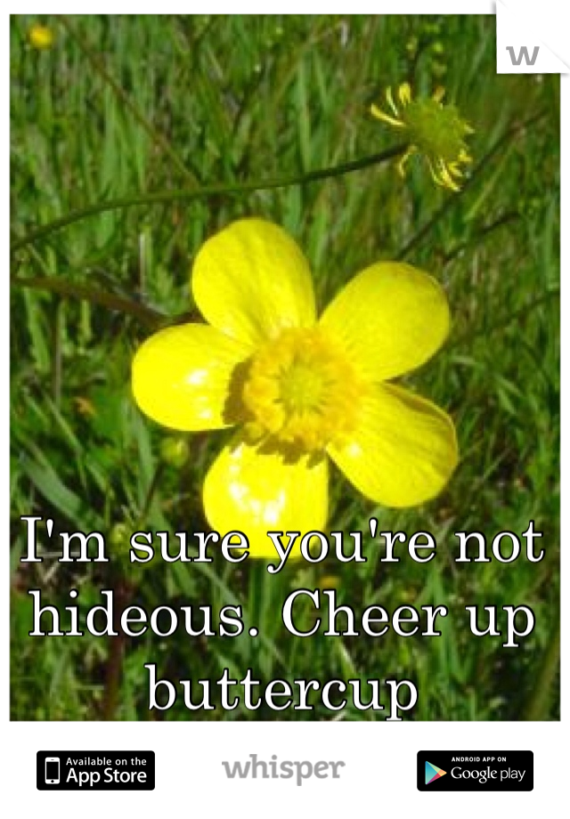 I'm sure you're not hideous. Cheer up buttercup 