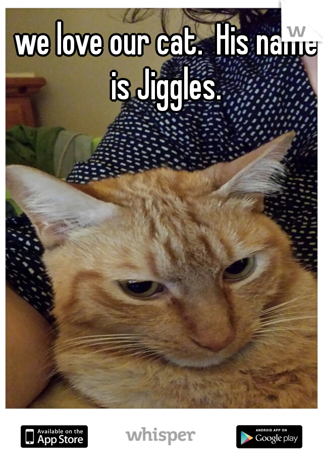 we love our cat.  His name is Jiggles. 