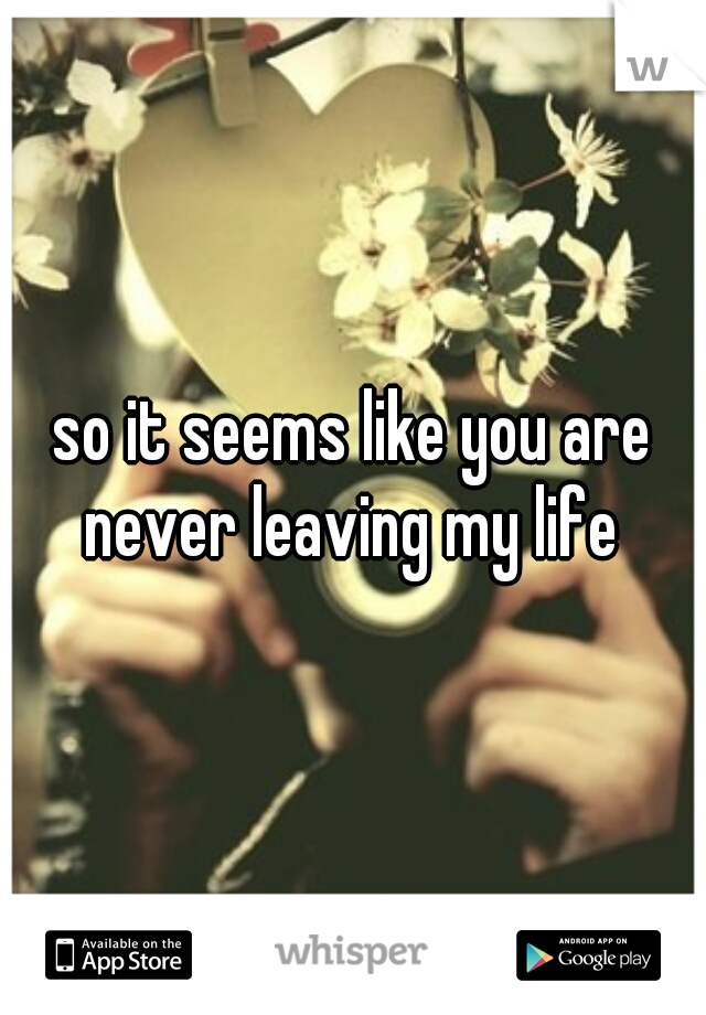 so it seems like you are never leaving my life 