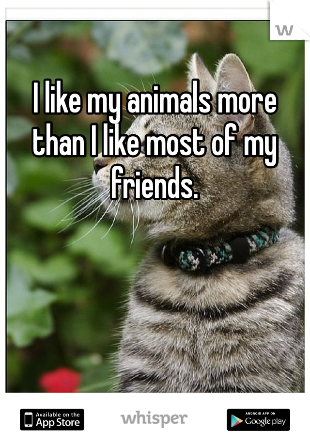 I like my animals more than I like most of my friends.