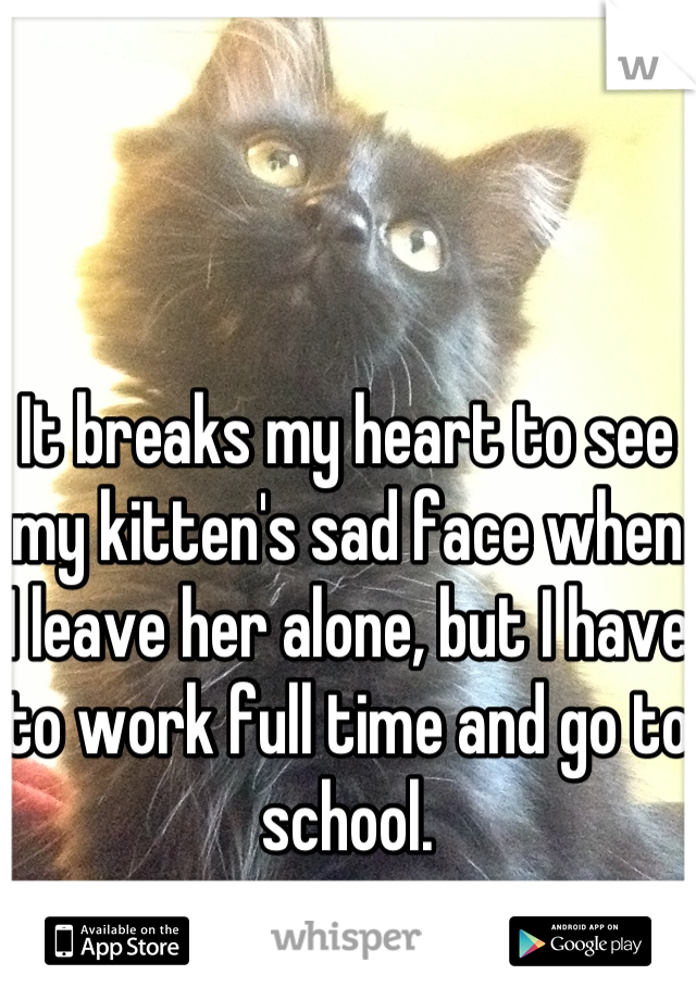 It breaks my heart to see my kitten's sad face when I leave her alone, but I have to work full time and go to school.