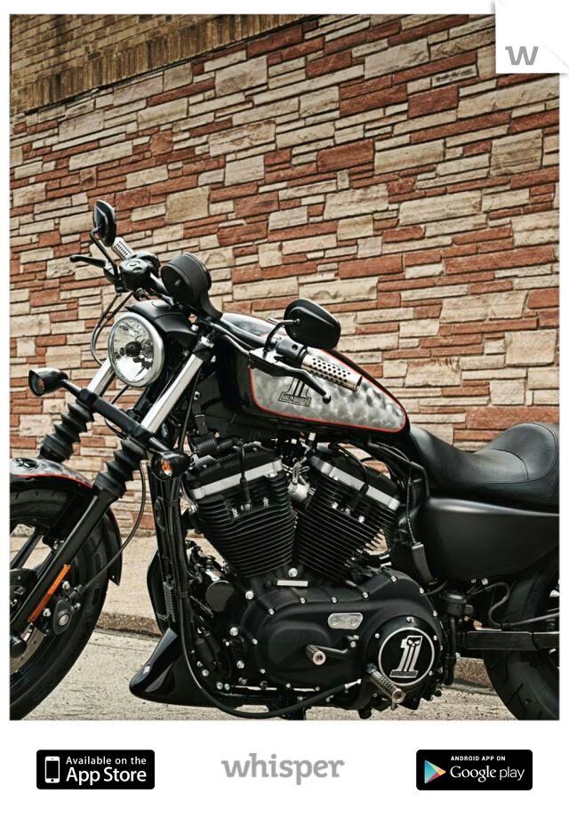 I love harleys, is there any other motorcycle? I say its the most expensive vibrator...lol