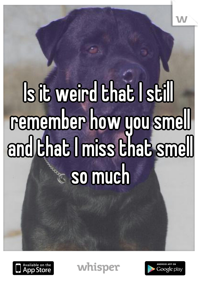 Is it weird that I still remember how you smell and that I miss that smell so much