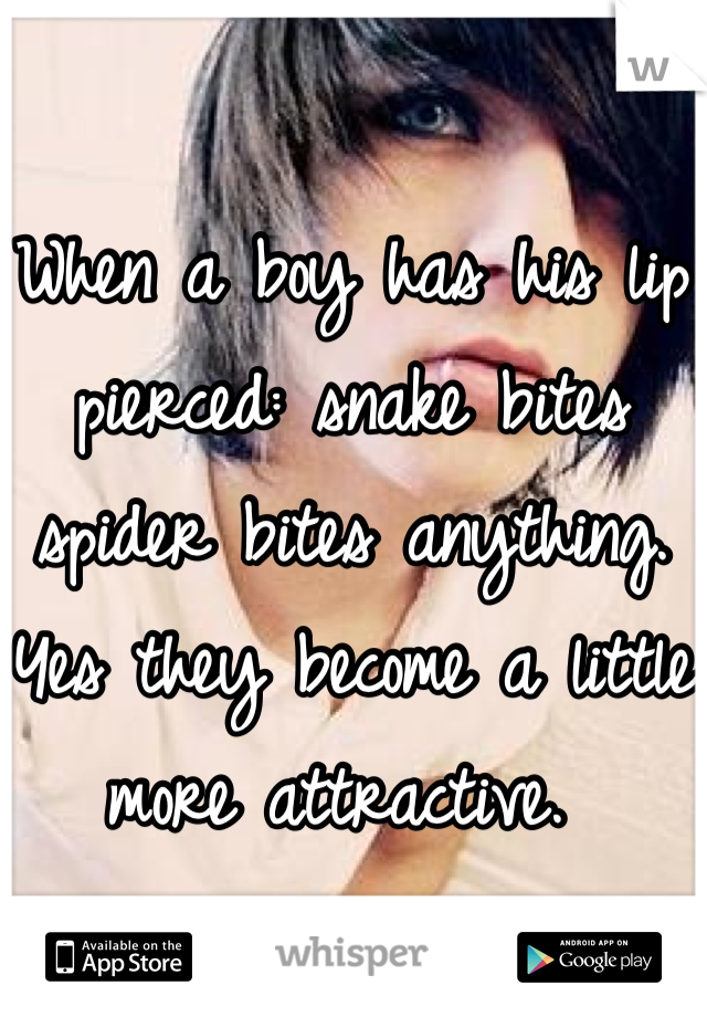 When a boy has his lip pierced: snake bites spider bites anything. Yes they become a little more attractive. 